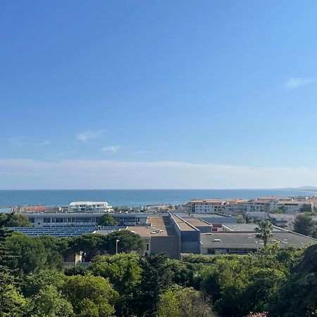 Spacieux T3 Terrasse Vue Mer Sète Dış mekan fotoğraf